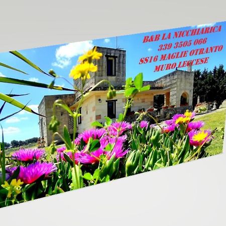 B&B La Nicchiarica Muro Leccese Extérieur photo